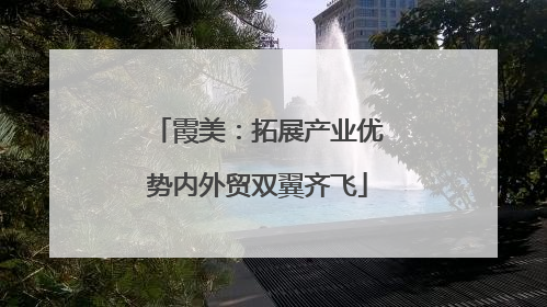 霞美：拓展产业优势内外贸双翼齐飞