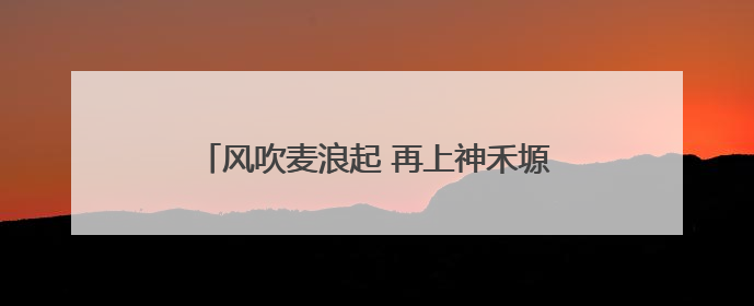 风吹麦浪起 再上神禾塬——陕西西安夏收见闻