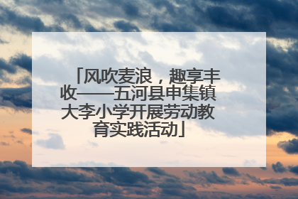 风吹麦浪，趣享丰收——五河县申集镇大李小学开展劳动教育实践活动
