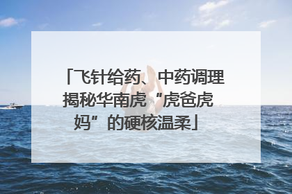 飞针给药、中药调理 揭秘华南虎“虎爸虎妈”的硬核温柔