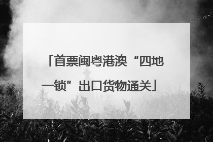 首票闽粤港澳“四地一锁”出口货物通关