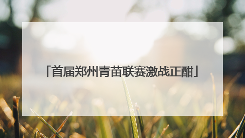 首届郑州青苗联赛激战正酣