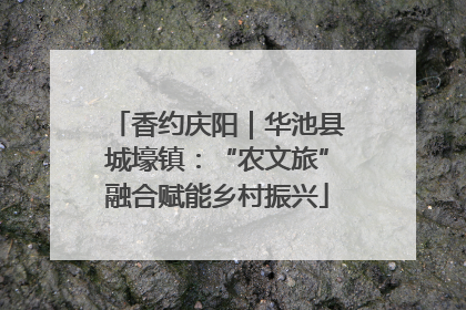 香约庆阳｜华池县城壕镇：“农文旅”融合赋能乡村振兴