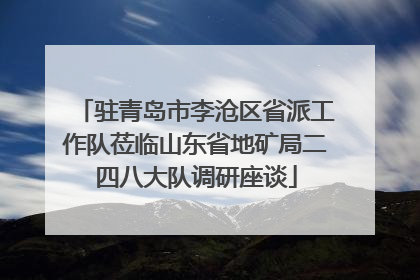 驻青岛市李沧区省派工作队莅临山东省地矿局二四八大队调研座谈