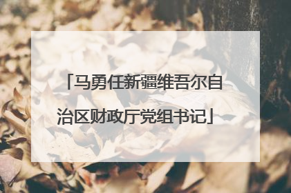 马勇任新疆维吾尔自治区财政厅党组书记