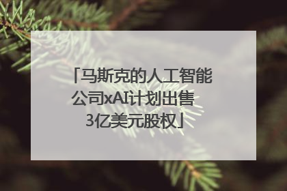马斯克的人工智能公司xAI计划出售3亿美元股权
