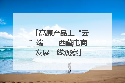 高原产品上“云”端——西藏电商发展一线观察