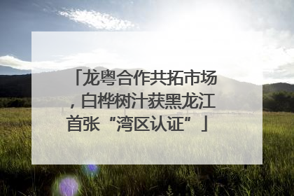 龙粤合作共拓市场，白桦树汁获黑龙江首张“湾区认证”