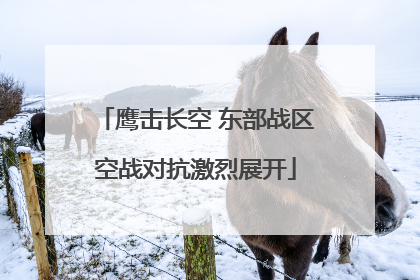 鹰击长空 东部战区空战对抗激烈展开