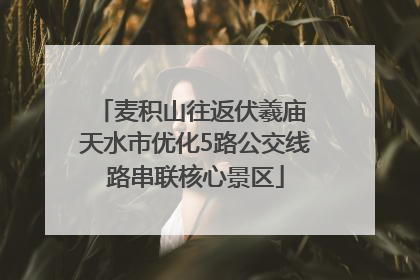 麦积山往返伏羲庙 天水市优化5路公交线路串联核心景区