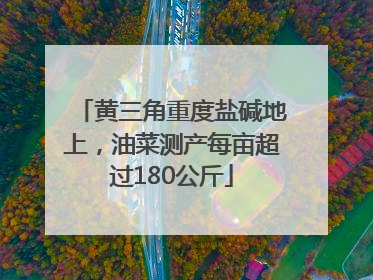 黄三角重度盐碱地上，油菜测产每亩超过180公斤