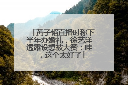 黄子韬直播时称下半年办婚礼，徐艺洋透露设想被大赞：哇，这个太好了