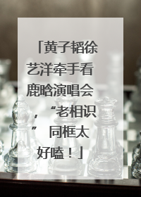黄子韬徐艺洋牵手看鹿晗演唱会，“老相识” 同框太好嗑！