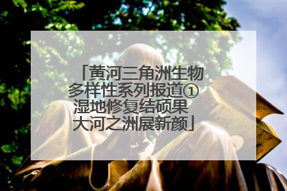 黄河三角洲生物多样性系列报道①湿地修复结硕果 大河之洲展新颜