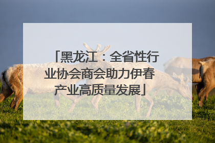 黑龙江：全省性行业协会商会助力伊春产业高质量发展