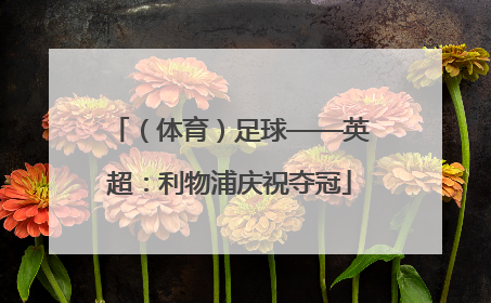 （体育）足球——英超：利物浦庆祝夺冠