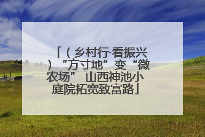 （乡村行·看振兴）“方寸地”变“微农场” 山西神池小庭院拓宽致富路