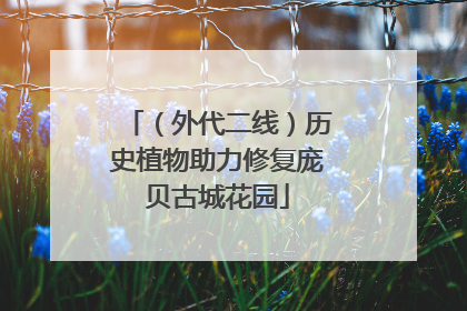 （外代二线）历史植物助力修复庞贝古城花园