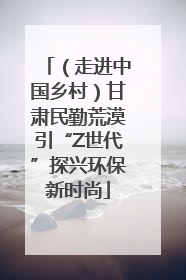 （走进中国乡村）甘肃民勤荒漠引“Z世代”探兴环保新时尚