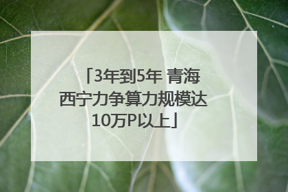 3年到5年 青海西宁力争算力规模达10万P以上