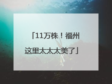 11万株！福州这里太太太美了