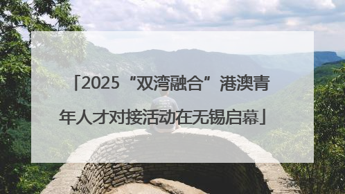 2025“双湾融合”港澳青年人才对接活动在无锡启幕