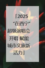 2025“在西宁”超级演唱会开唱 赋能城市文旅新活力