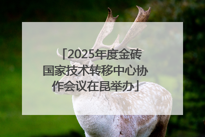 2025年度金砖国家技术转移中心协作会议在昆举办