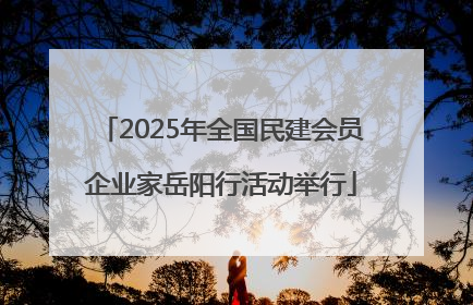 2025年全国民建会员企业家岳阳行活动举行