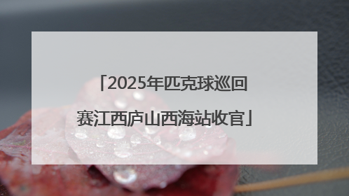 2025年匹克球巡回赛江西庐山西海站收官