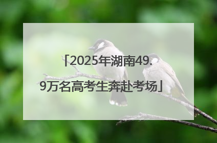 2025年湖南49.9万名高考生奔赴考场