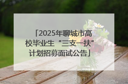 2025年聊城市高校毕业生“三支一扶”计划招募面试公告