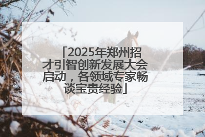 2025年郑州招才引智创新发展大会启动，各领域专家畅谈宝贵经验