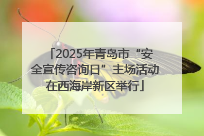 2025年青岛市“安全宣传咨询日”主场活动在西海岸新区举行
