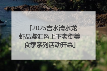 2025吉水清水龙虾品鉴汇暨上下老街美食季系列活动开幕