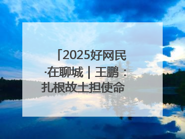 2025好网民·在聊城｜王鹏：扎根故土担使命 妙笔著文扬正气