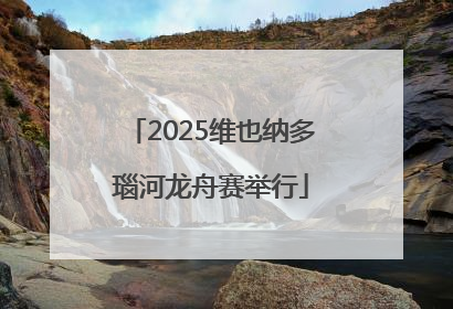 2025维也纳多瑙河龙舟赛举行