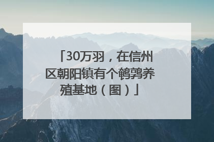 30万羽，在信州区朝阳镇有个鹌鹑养殖基地（图）