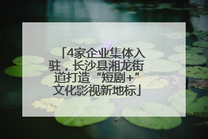 4家企业集体入驻，长沙县湘龙街道打造“短剧+”文化影视新地标