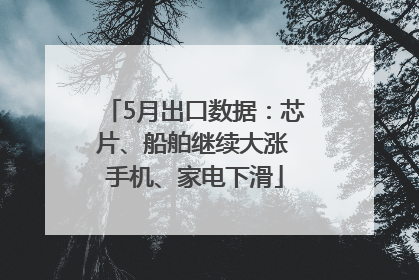 5月出口数据：芯片、船舶继续大涨 手机、家电下滑