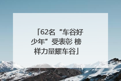 62名“车谷好少年”受表彰 榜样力量耀车谷