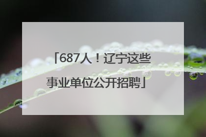 687人！辽宁这些事业单位公开招聘