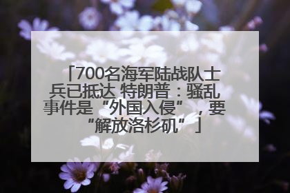700名海军陆战队士兵已抵达 特朗普：骚乱事件是“外国入侵”，要“解放洛杉矶”