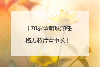 70岁董明珠卸任格力芯片董事长