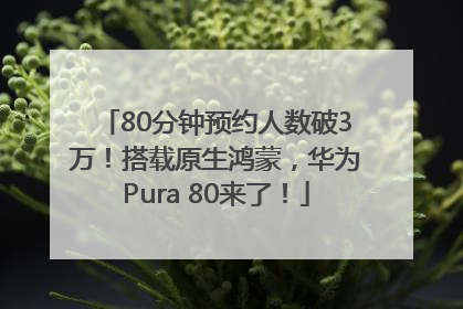 80分钟预约人数破3万！搭载原生鸿蒙，华为Pura 80来了！