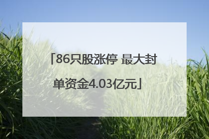 86只股涨停 最大封单资金4.03亿元