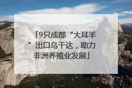 9只成都“大耳羊”出口乌干达，助力非洲养殖业发展