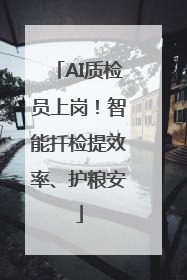 AI质检员上岗！智能扦检提效率、护粮安