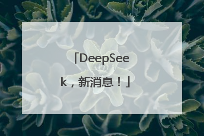 DeepSeek，新消息！