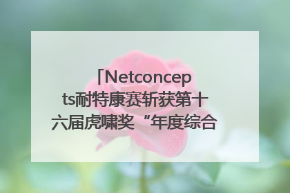 Netconcepts耐特康赛斩获第十六届虎啸奖“年度综合服务商”大奖